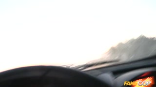 Смотри Standing Doggystyle with a Cop in a Car - лучшее порно на YOUPORN.ZONE