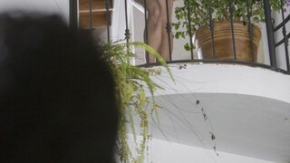 Смотри Garden of Pleasure with Amirah - лучшее порно на YOUPORN.ZONE