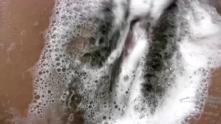 Issabella's Hairy Body in the Shower - бесплатное секс видео YOUPORN.ZONE