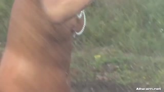 Смотри Jersie's Big Tits and Little Friend Get Wild Outdoors - лучшее порно на YOUPORN.ZONE