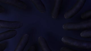 Смотри Tentacle Anal for Young Tiffany - лучшее порно на YOUPORN.ZONE